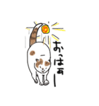 うち猫ズ（個別スタンプ：11）