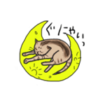 うち猫ズ（個別スタンプ：12）