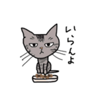 うち猫ズ（個別スタンプ：14）