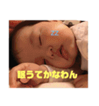 こんにちは やまとくん その3（個別スタンプ：1）