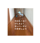 こんにちは やまとくん その3（個別スタンプ：25）