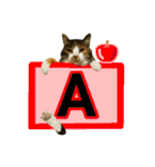 フリップラブリー三毛猫(英数字編)（個別スタンプ：1）