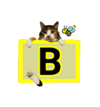 フリップラブリー三毛猫(英数字編)（個別スタンプ：2）