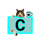 フリップラブリー三毛猫(英数字編)（個別スタンプ：3）