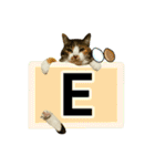 フリップラブリー三毛猫(英数字編)（個別スタンプ：5）