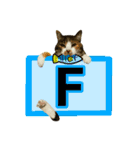 フリップラブリー三毛猫(英数字編)（個別スタンプ：6）