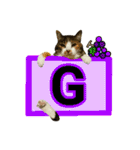 フリップラブリー三毛猫(英数字編)（個別スタンプ：7）
