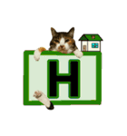 フリップラブリー三毛猫(英数字編)（個別スタンプ：8）