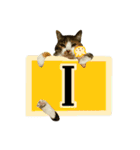 フリップラブリー三毛猫(英数字編)（個別スタンプ：9）
