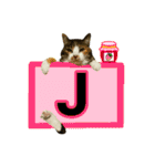 フリップラブリー三毛猫(英数字編)（個別スタンプ：10）