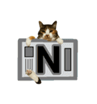 フリップラブリー三毛猫(英数字編)（個別スタンプ：14）