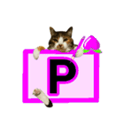 フリップラブリー三毛猫(英数字編)（個別スタンプ：16）