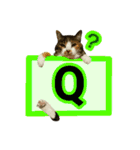 フリップラブリー三毛猫(英数字編)（個別スタンプ：17）