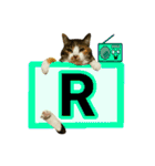 フリップラブリー三毛猫(英数字編)（個別スタンプ：18）