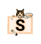 フリップラブリー三毛猫(英数字編)（個別スタンプ：19）
