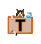フリップラブリー三毛猫(英数字編)（個別スタンプ：20）