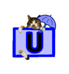 フリップラブリー三毛猫(英数字編)（個別スタンプ：21）