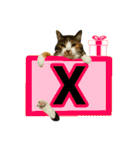 フリップラブリー三毛猫(英数字編)（個別スタンプ：24）