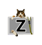 フリップラブリー三毛猫(英数字編)（個別スタンプ：26）