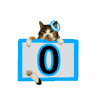 フリップラブリー三毛猫(英数字編)（個別スタンプ：27）
