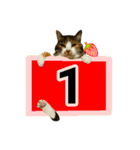 フリップラブリー三毛猫(英数字編)（個別スタンプ：28）