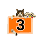 フリップラブリー三毛猫(英数字編)（個別スタンプ：30）
