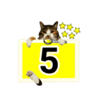 フリップラブリー三毛猫(英数字編)（個別スタンプ：32）