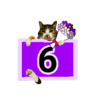 フリップラブリー三毛猫(英数字編)（個別スタンプ：33）