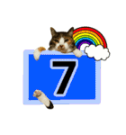 フリップラブリー三毛猫(英数字編)（個別スタンプ：34）