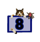 フリップラブリー三毛猫(英数字編)（個別スタンプ：35）