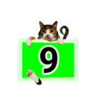 フリップラブリー三毛猫(英数字編)（個別スタンプ：36）