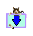 フリップラブリー三毛猫(英数字編)（個別スタンプ：38）