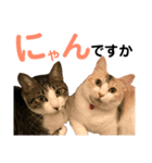うるぬんさん（個別スタンプ：3）