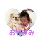 赤ちゃんとチワワが行く（個別スタンプ：5）