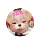 赤ちゃんとチワワが行く（個別スタンプ：6）