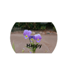 写真  花（個別スタンプ：2）