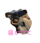 TKGふぁみりーの日常。（個別スタンプ：1）