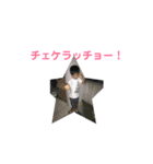 TKGふぁみりーの日常。（個別スタンプ：8）