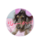 ジョニースタンプ❤︎（個別スタンプ：5）