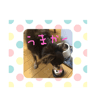 ボニ子の生活1（個別スタンプ：4）