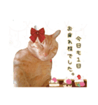 私の可愛らしい猫のチャオです。（個別スタンプ：5）
