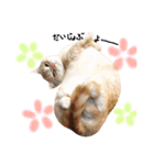 ねこのごんぞうとなかまたち（個別スタンプ：7）