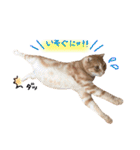 ねこのごんぞうとなかまたち（個別スタンプ：14）