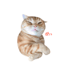 ねこのごんぞうとなかまたち（個別スタンプ：26）