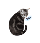 ねこのごんぞうとなかまたち（個別スタンプ：29）