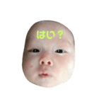 5才＆1才 わんぱく兄弟のひと言スタンプ（個別スタンプ：5）