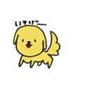 犬のマロ（個別スタンプ：21）
