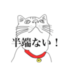 イマドキ猫さん（個別スタンプ：1）