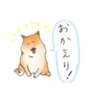 癒し系しば犬 コロちゃん (毎日使えるver.)（個別スタンプ：31）