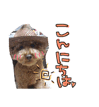 ぷりんだよー♡（個別スタンプ：1）